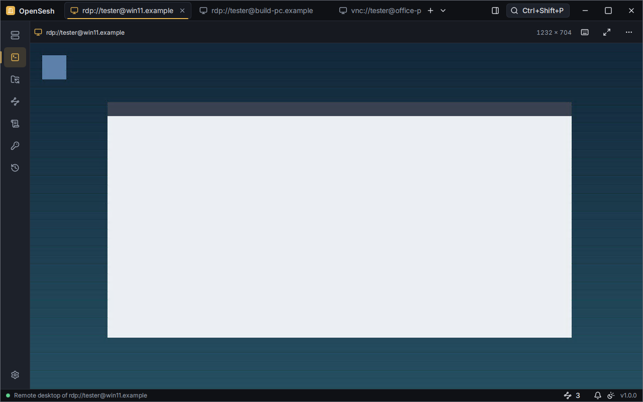 A remote desktop over RDP in a tab, rdp://tester@win11.example, at 1232 by 704. It shows the test server's simple pattern: a blue background with an empty window, not a real desktop.