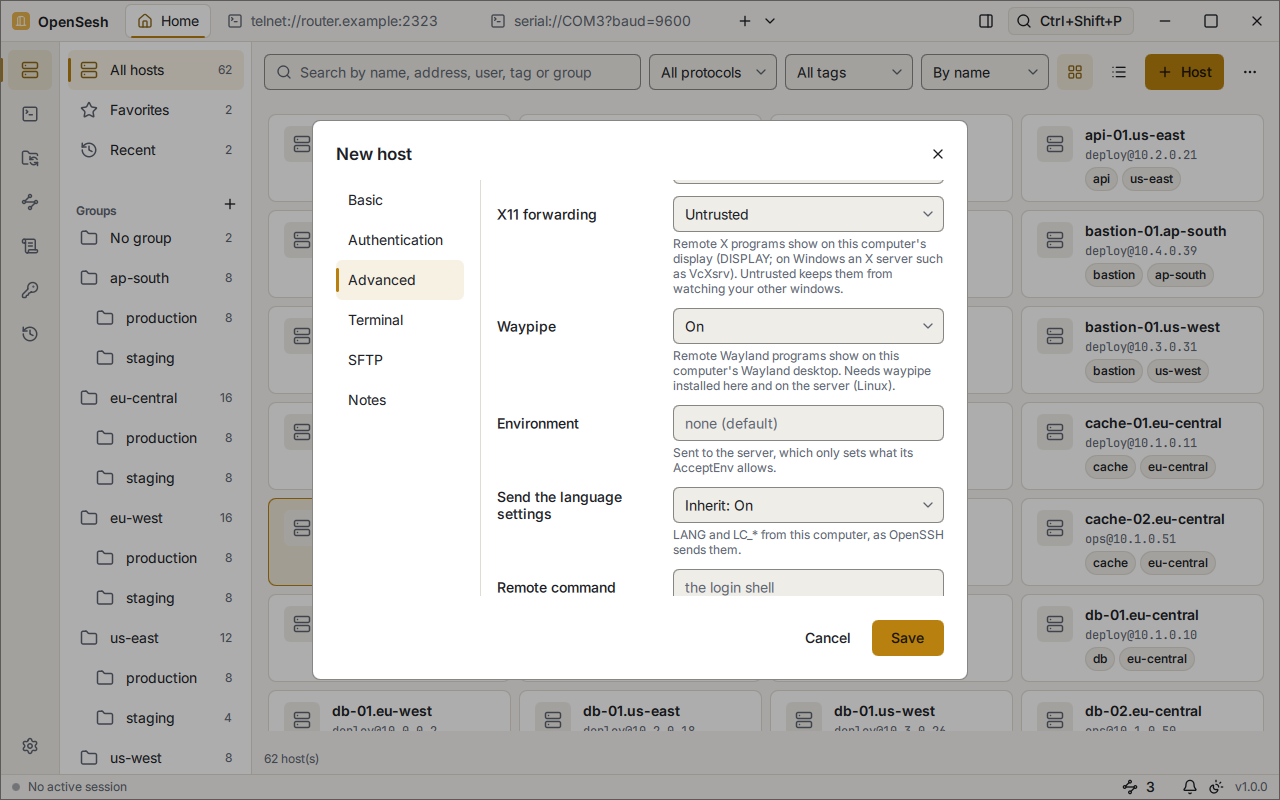 The Advanced tab of the New host dialog: X11 forwarding set to Untrusted and Waypipe on, each with a note on what it does and needs, then the environment, the language settings and the remote command.