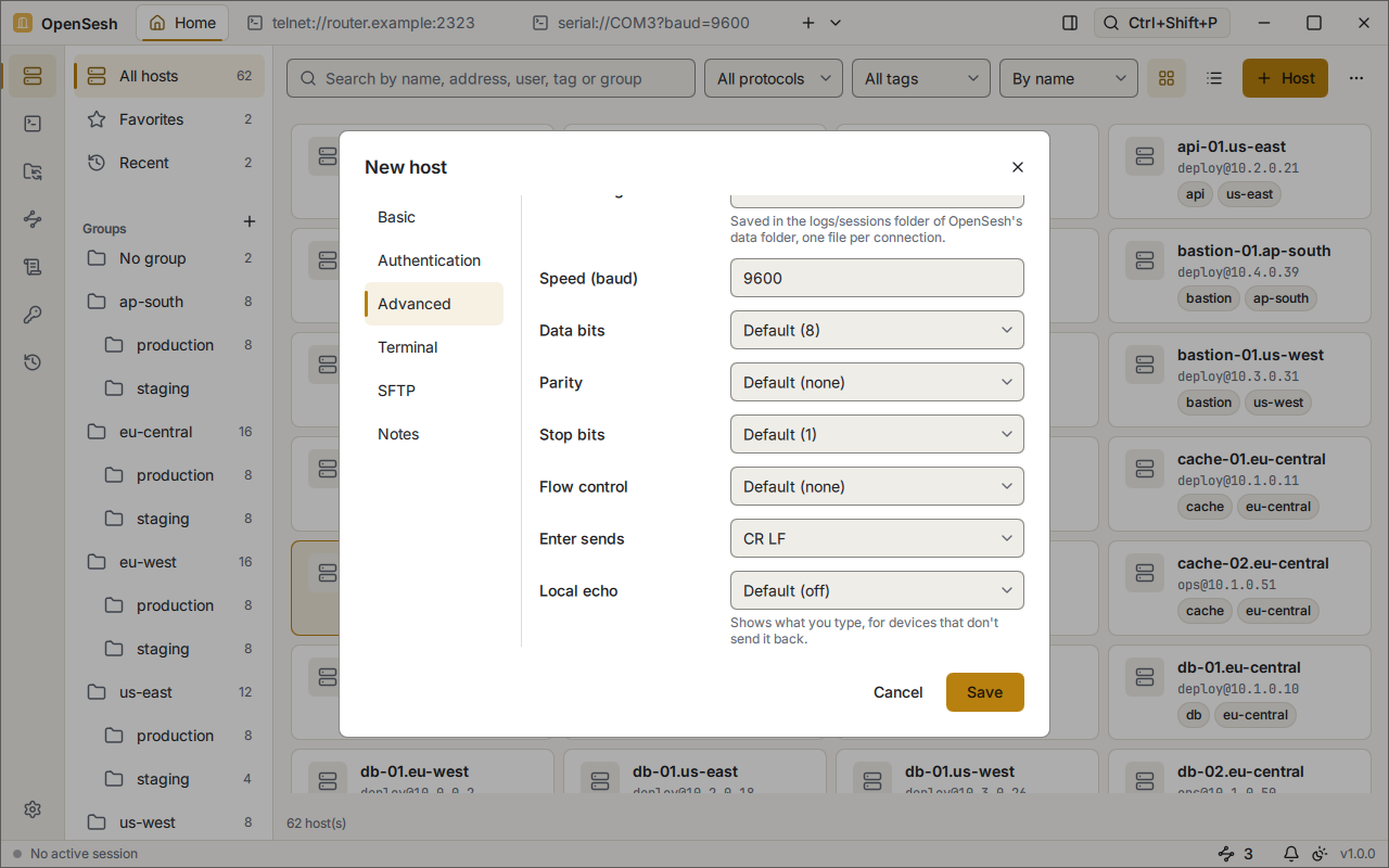 The Advanced tab of the New host dialog for a serial host: the session log, a speed of 9600 baud, data bits, parity, stop bits, flow control, what Enter sends (CR LF) and local echo.