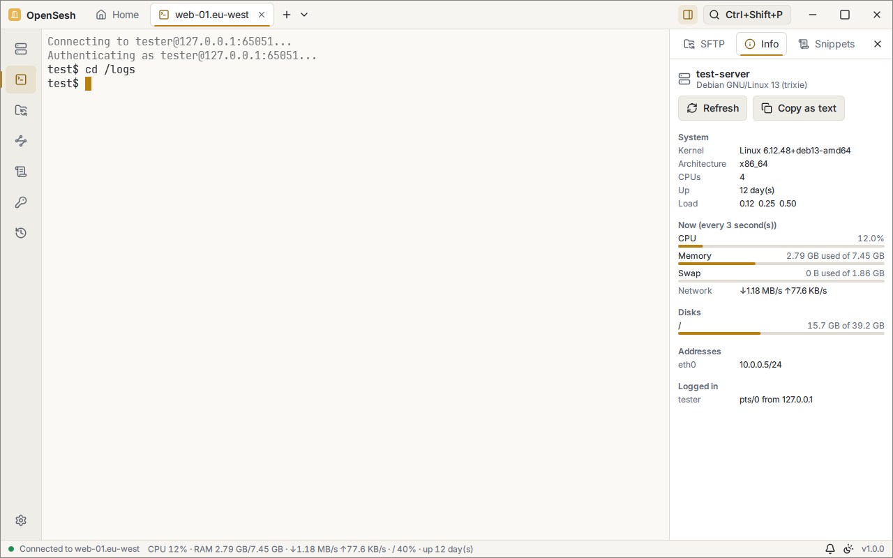 An SSH terminal on web-01.eu-west with the side panel on its Info tab: the server's system and kernel, CPUs, uptime and load, live CPU, memory, swap and network use, the disk of /, its address and the logged-in user. The status bar shows CPU, RAM, network and disk use.