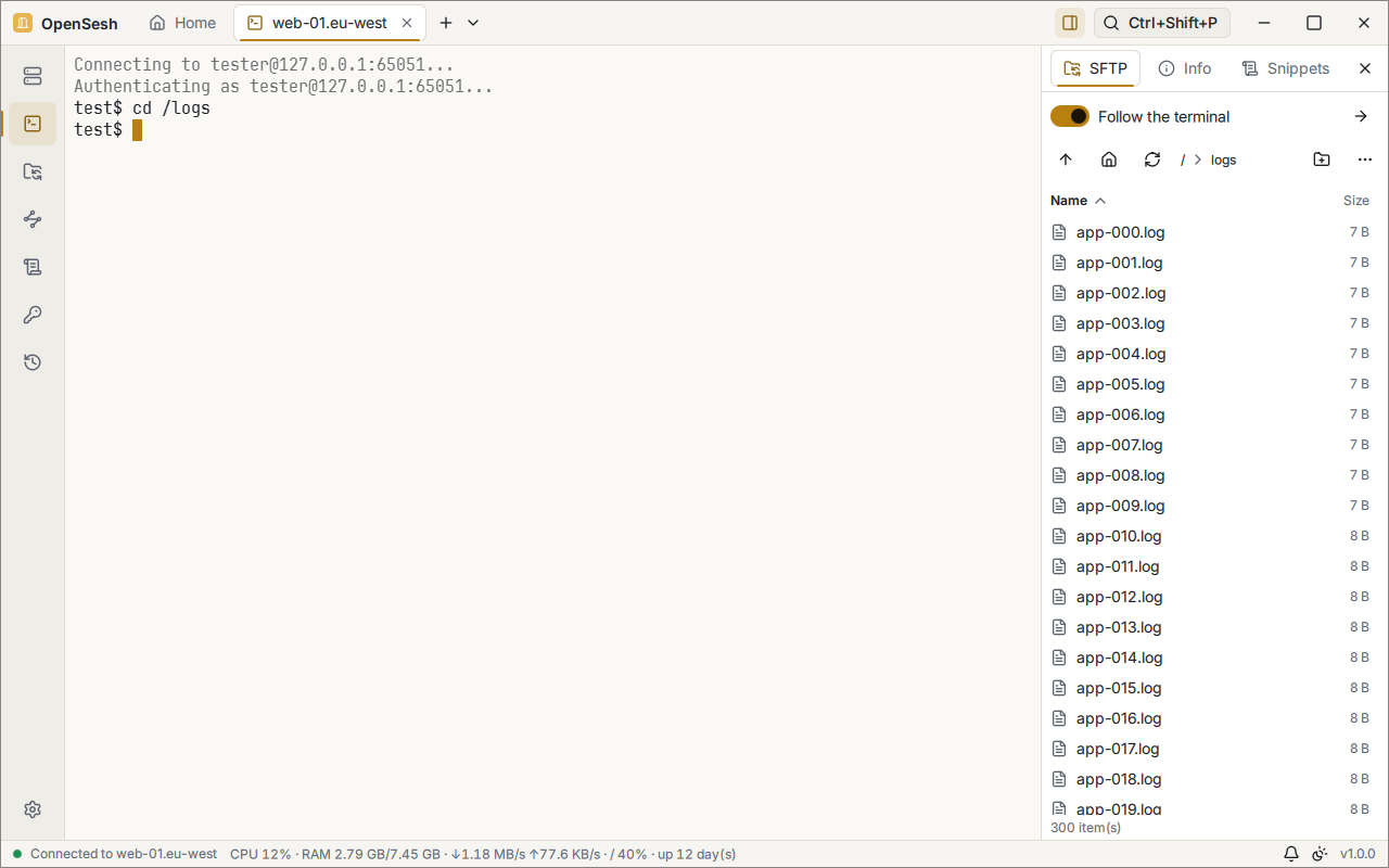 An SSH terminal on web-01.eu-west after the command cd /logs, with the SFTP side panel on the right. Follow the terminal is on, and the panel lists the files in /logs. The status bar shows the server's CPU, RAM, network and disk use.